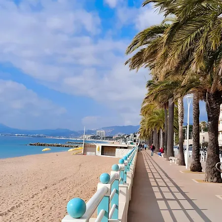 Moliere 1 Centre Cannes